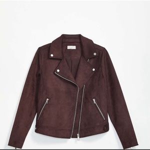 Loft Faux Suede Moto Jacket